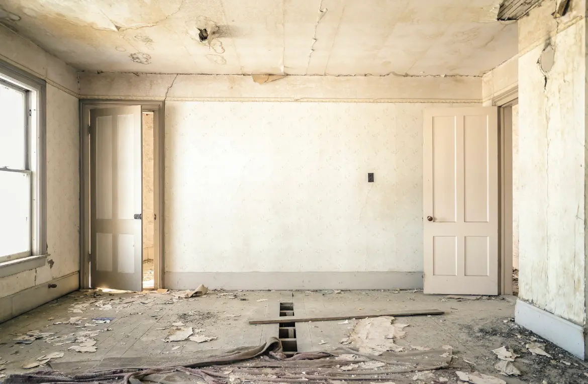 Waste disposal crew managing a cleanout project in Willow Park